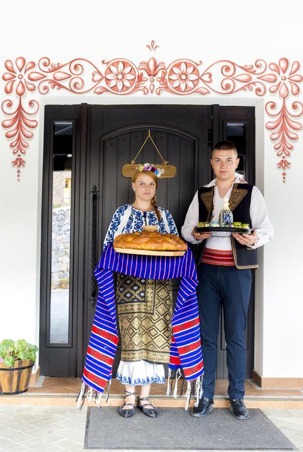 Conacu' Boierului Affittacamere Ponoarele (Mehedinti)